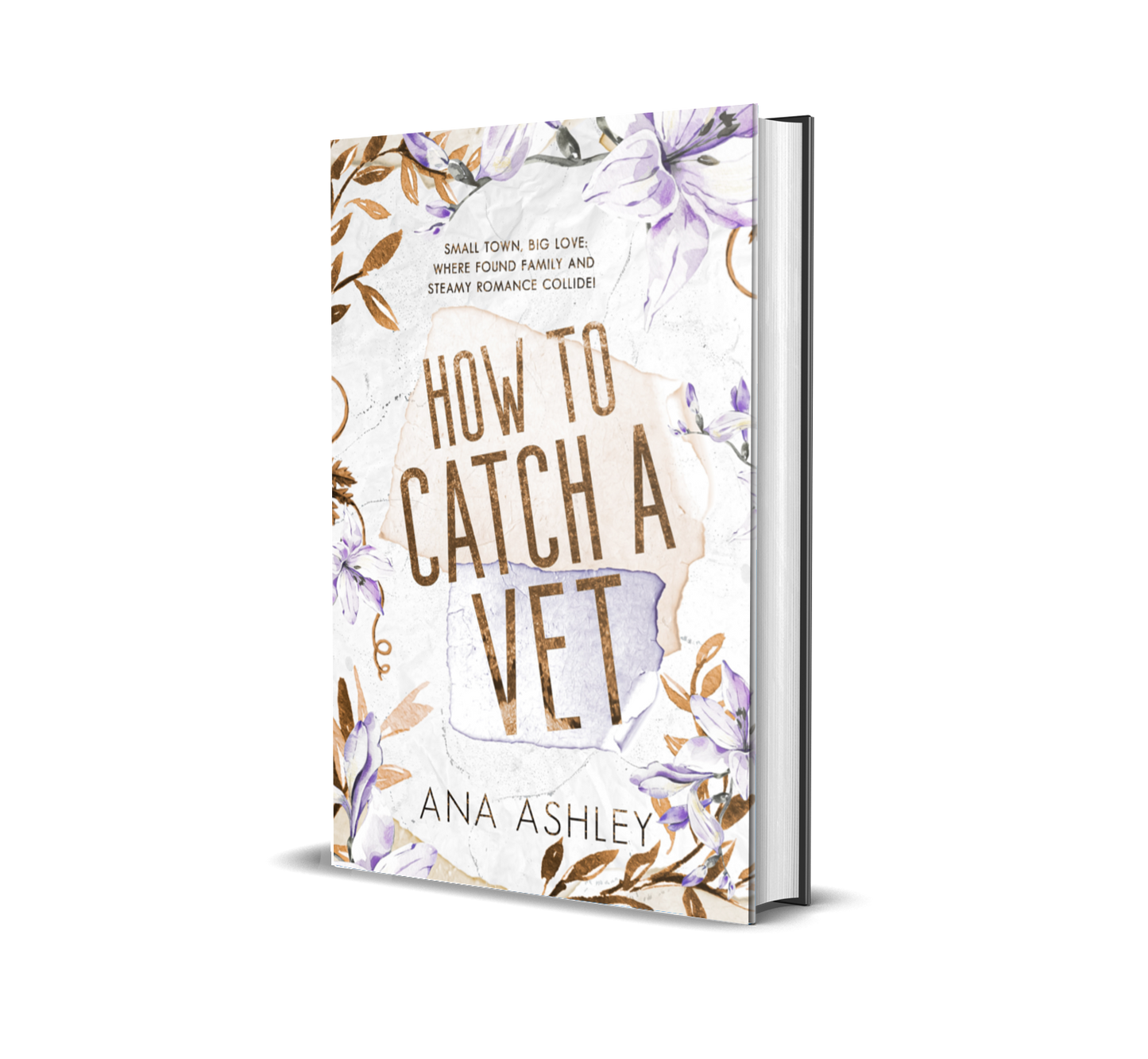 How to Catch a Vet - Chester Falls Book 6: Special Edition Hardback: