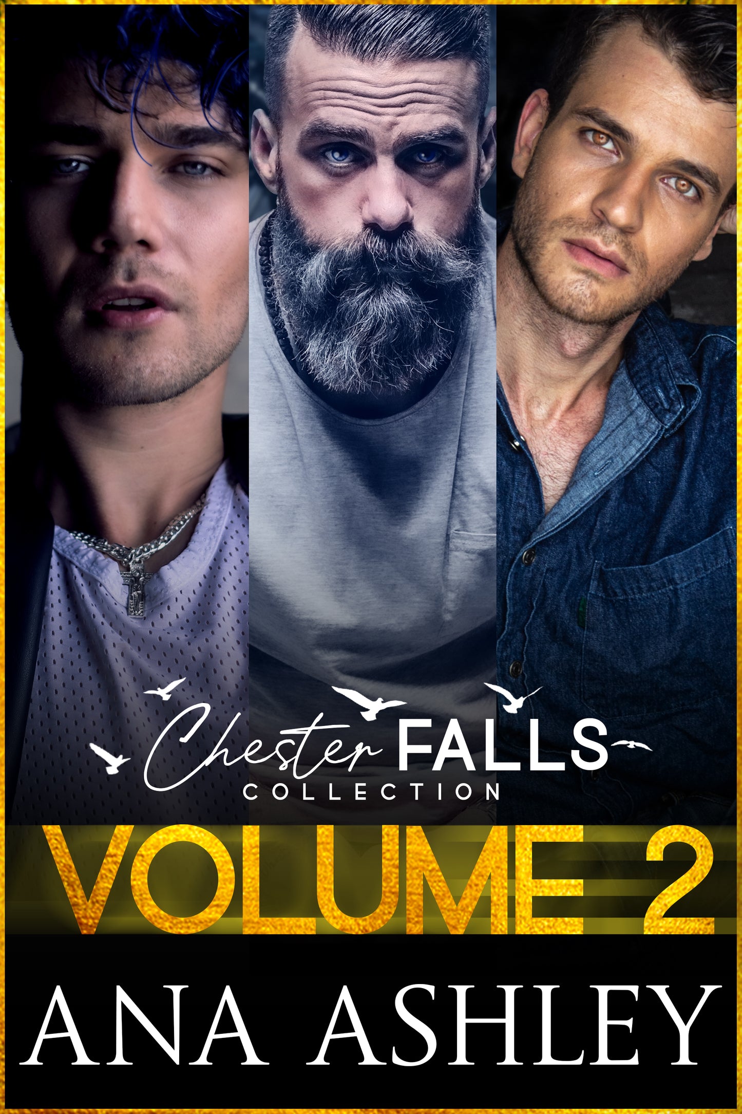 Chester Falls Collection Volume II (Paperback)