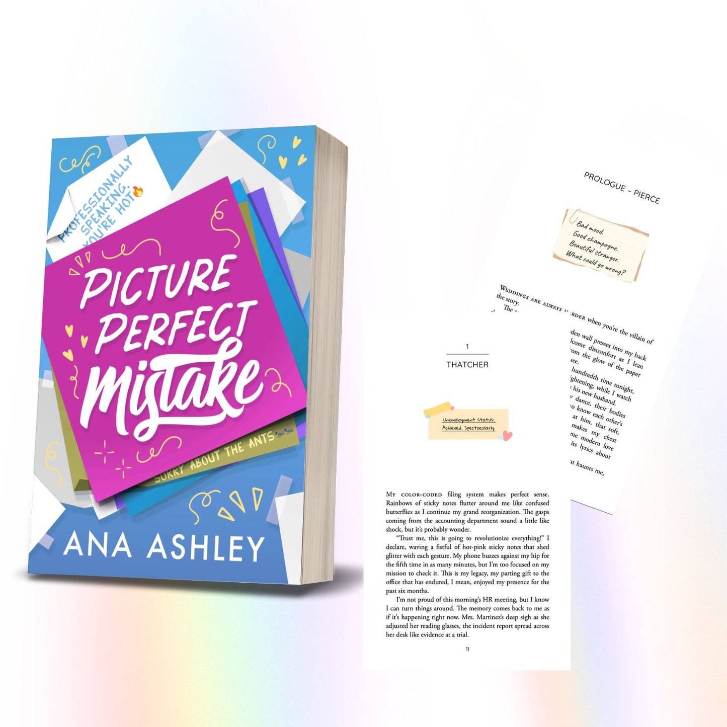 Picture Perfect Mistake - Discrete Edition