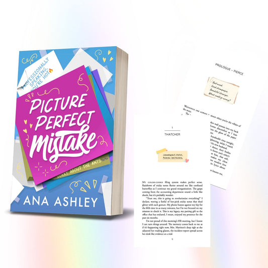 Picture Perfect Mistake - Discrete Edition