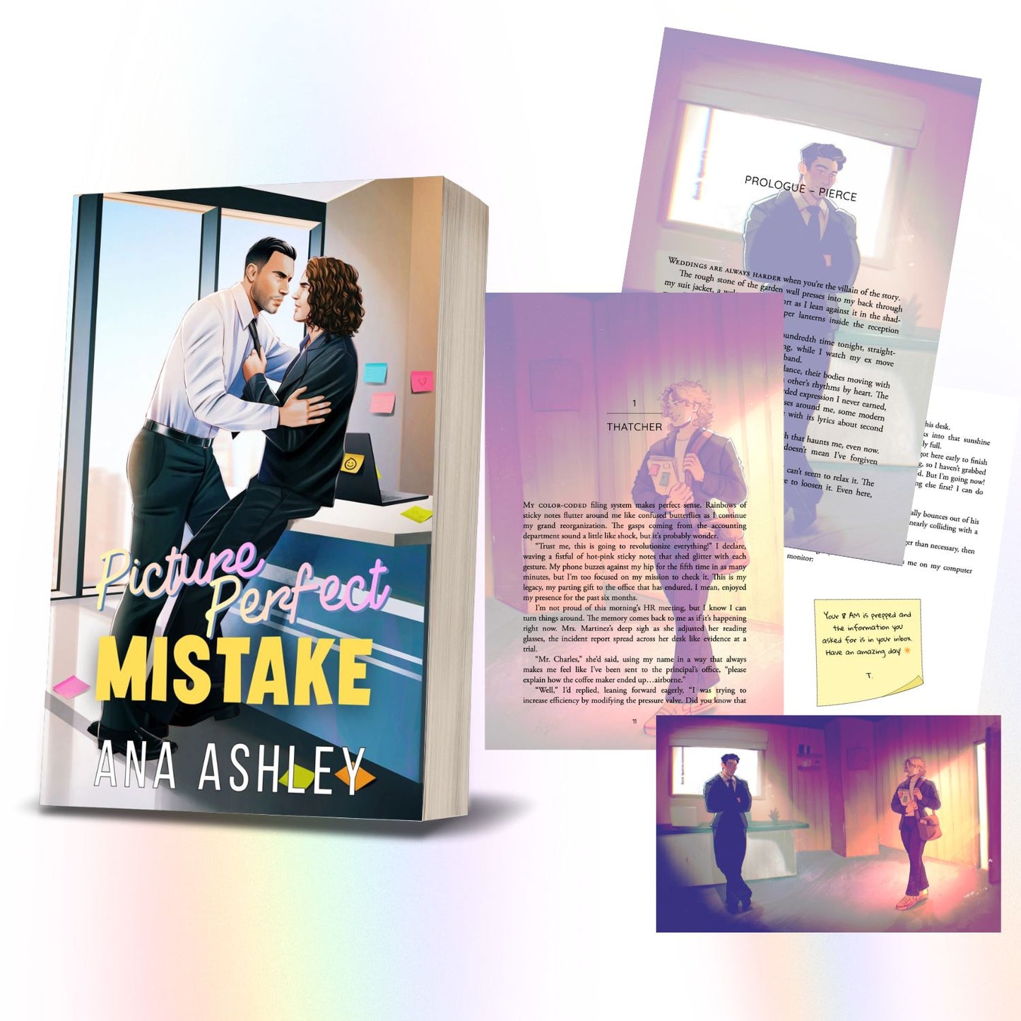 Picture Perfect Mistake - Illustrated Edition Paperback