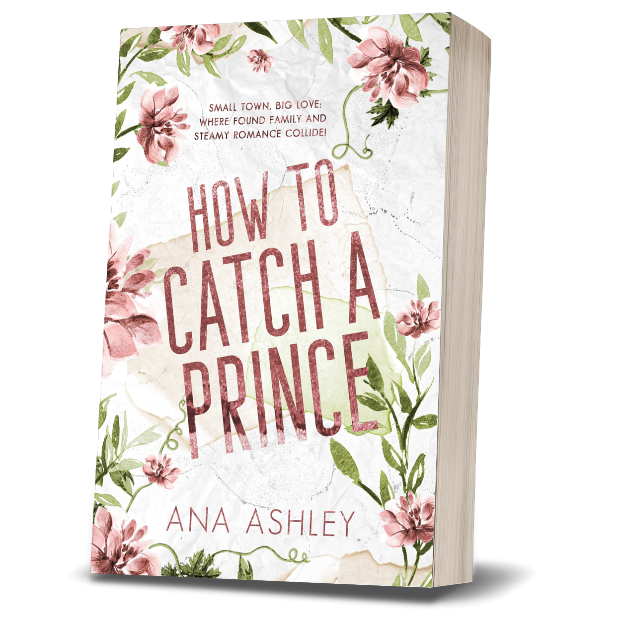 How To Catch A Prince - Chester Falls Book 1 (Special Edition Paperback)