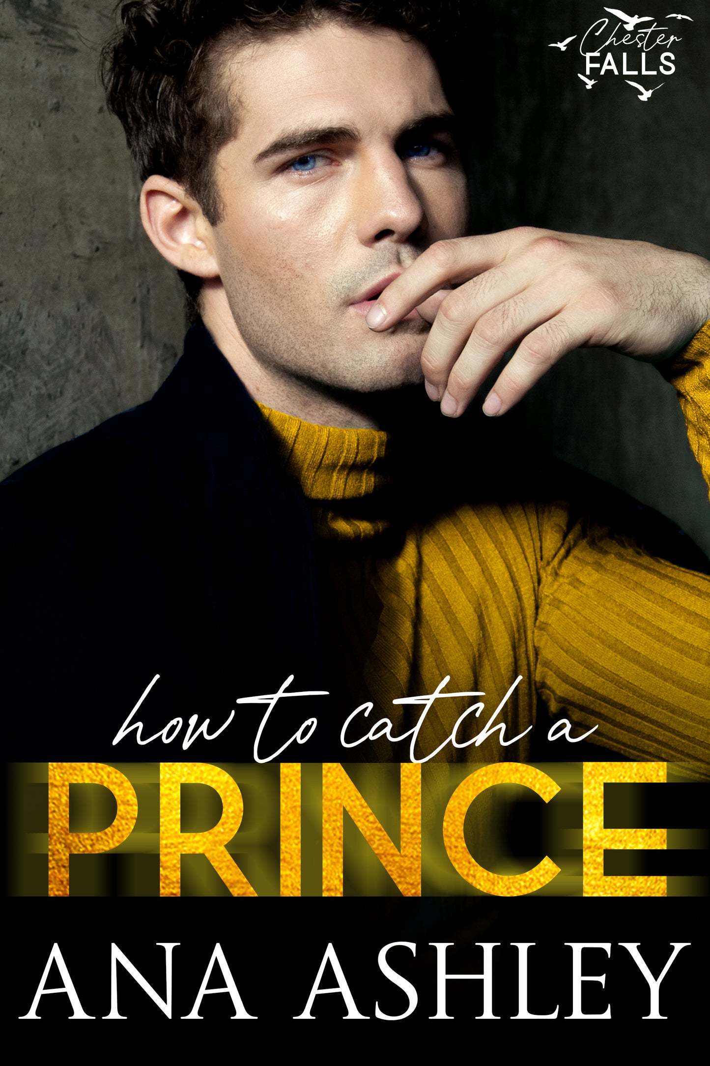 How To Catch A Prince - Chester Falls Book 1 (Paperback)