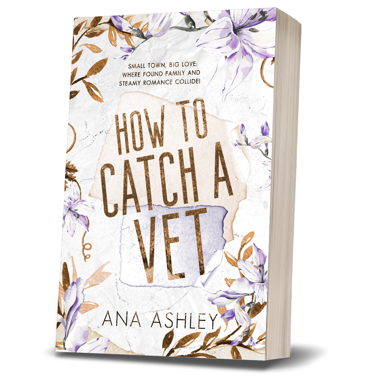 How To Catch A Vet - Chester Falls Series Book 6 (Special Edition Paperback)